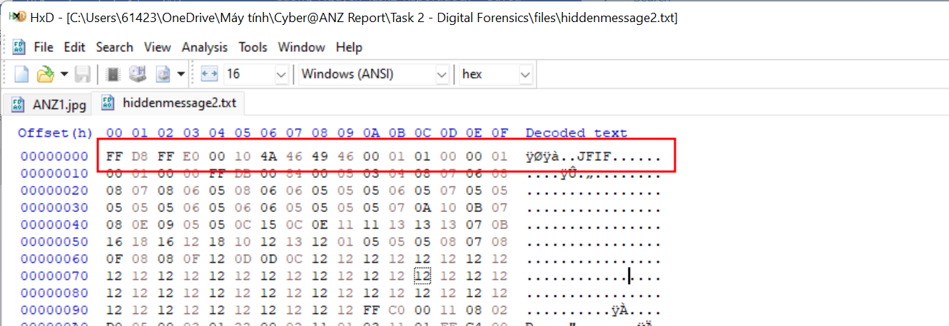 ANZ_Digital_Forensics/14.png