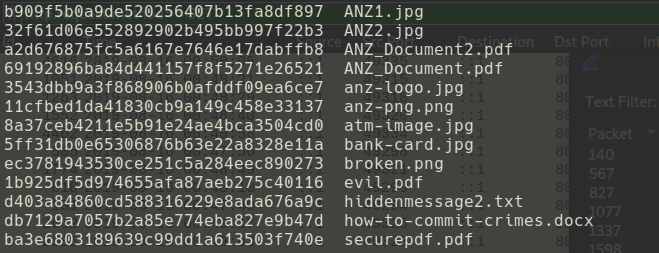 ANZ_Digital_Forensics/3.png